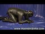 Video Rubber Dog Routine