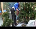 Mara wearing a black rain pants and a blue rain jacket decorating the christmas tree (Video)