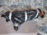 [From archive] Veronika - captured, hogtied and packed into trash bag 02