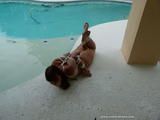 Poolside Hogtie in sunny Florida