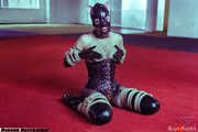 Rubber kinbaku kitten - With Amarantha LaBlanche