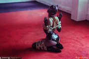 Rubber kinbaku kitten - With Amarantha LaBlanche