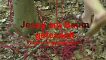 Jessy tied to a tree 2/2