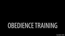 Obedience Training (Solo - BDSM Instruction)