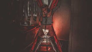 Bondage art for your playroom and in fact only a single image file is offered for sale here