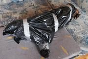 [From archive] Veronika - captured, hogtied and packed into trash bag 02