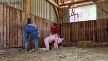 Mock slaughter of our lovingly raised boar in the barn ( role play )