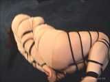 Sweater Hogtie