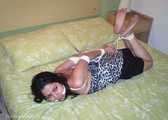 Hogtie Trouble