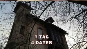 1 TAG  4 DATES