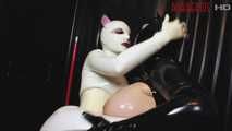 Latexkittens in Heat Part 1