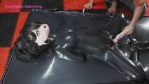 Xiaomeng Has a New Vacuum Bed