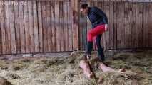 Stable slave in manure