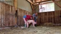 Mock slaughter of our lovingly raised boar in the barn ( role play )