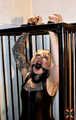 Delicious-Roxxxi in the cage - The Second