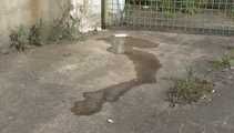 062004 Melina Pees In The Corner Of A Yard
