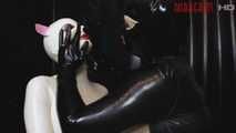 Latexkittens in Heat Part 1