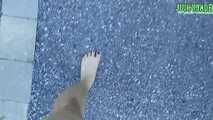 Bare feet walking outdoors Vol 1