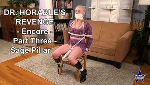 Dr. Horable's Revenge - Encore - Part Three - Sage Pillar